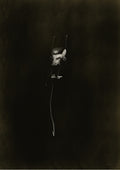 Nostalgia Fine Arts Print